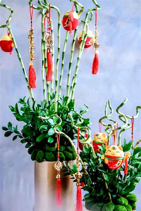 5 Auspicious House Plants for Good Feng Shui in 2022 | Tatler Asia