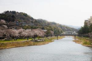 Kanazawa Cherry Blossom Best Viewing Spots • Just One Cookbook