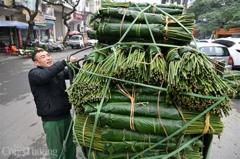 Chợ lá dong lâu đời nhất Hà Nội nhộn nhịp ngày cận Tết