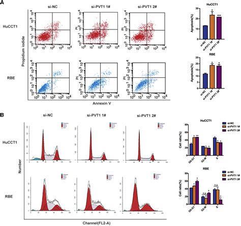 Long Non Coding Rna Pvt1 Promotes Cell Proliferation And Migration By