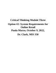 CT3 MIS350 Docx Critical Thinking Module Three Option 2 System