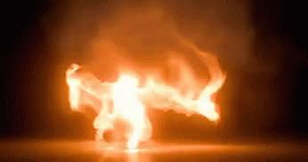 Fire Performance Fire Dance Fire Performance Fire Dance Flame