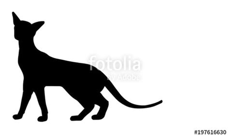 Siamese Cat Silhouette at GetDrawings | Free download