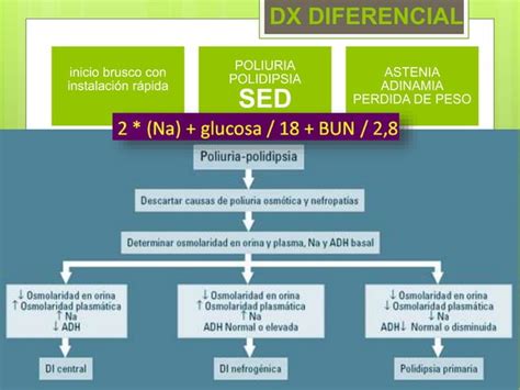 Diabetes Insipida Y Sindrome De Secrecion Inadecuada De Hormona