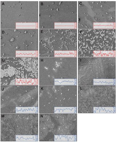 Influence Of Surface Roughness Nanostructure And Wetting On Bacterial