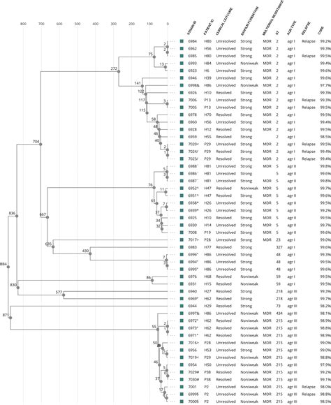 Genomics Of Staphylococcus Aureus And Staphylococcus Epidermidis From