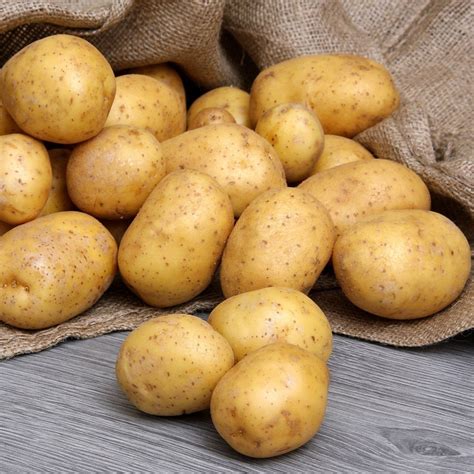 Pommes de terre nouvelle en livraison sur Lorient - VotrePotager