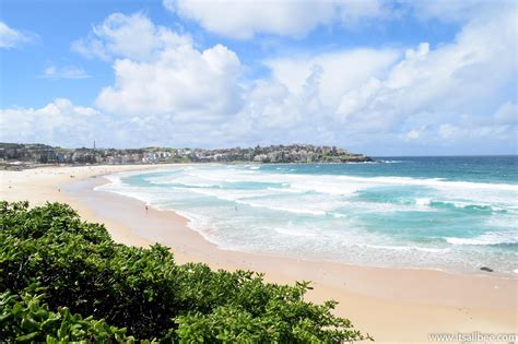 Bondi Coogee Walk | Exploring Sydney's Bondi Beach and Beyond ...