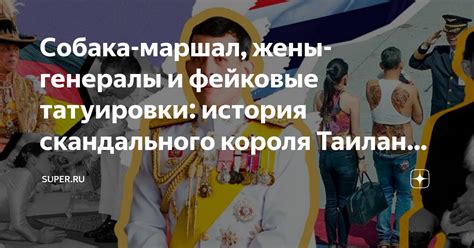 Собака-маршал, жены-генералы и фейковые татуировки: история ...