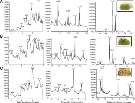 GC Spectra Of Dichloromethane Dissolved Bio Oil Samples Produced From