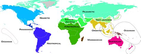 El Mapa Del Mundo Natural Se Actualiza Noticias Sinc