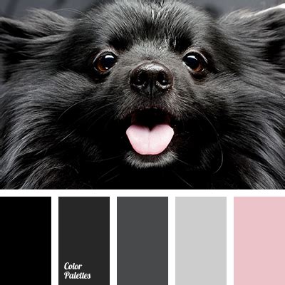 Color Palette #2322 | Color Palette Ideas