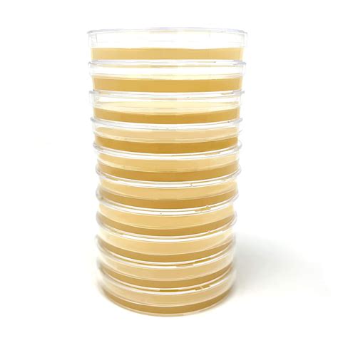 Olympus Myco Sorghum Yeast Extract Agar Plates For Mushroom Cultivation