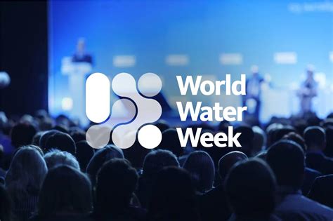 Siwi At World Water Week Siwi Leading Expert In Water Governance