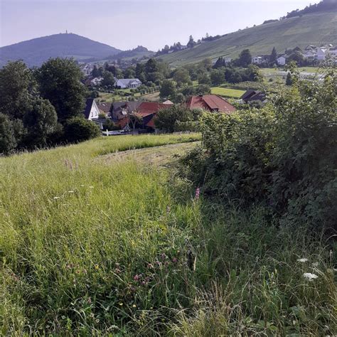 Actionbound Ergebnisse für Bohn im Bound Naturpark Detektive Wiesen