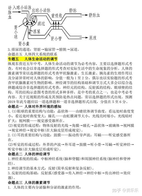 北京市中考生物一轮复习须知：11个专题知识全总结！（附电子版） 知乎