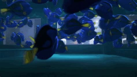 Finding Dory GIF by Disney/Pixar's Finding Dory - Find & Share on GIPHY