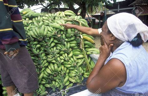 América Latina y el Caribe pueden crecer 1 7 este año