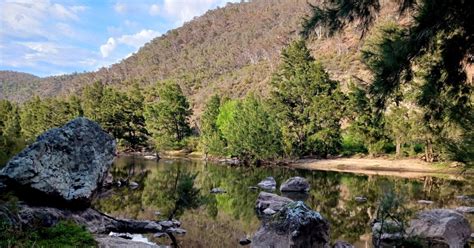 Murrumbidgee River Corridor Sun 09th Jun 2024