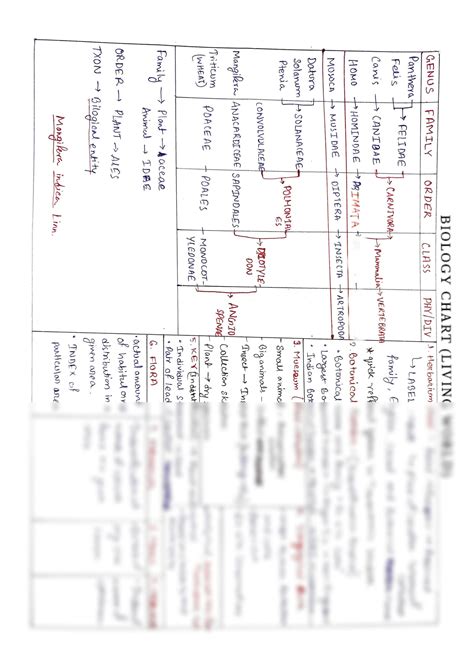 SOLUTION: Biology chart - Studypool