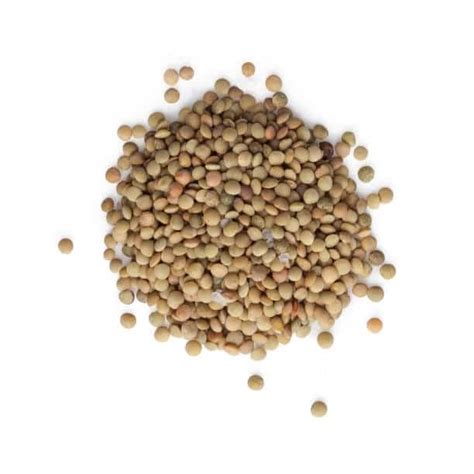 lentil wealth unveiling  powerful health benefits