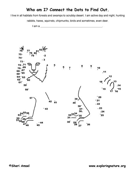 Bobcat Connect The Dots Activity