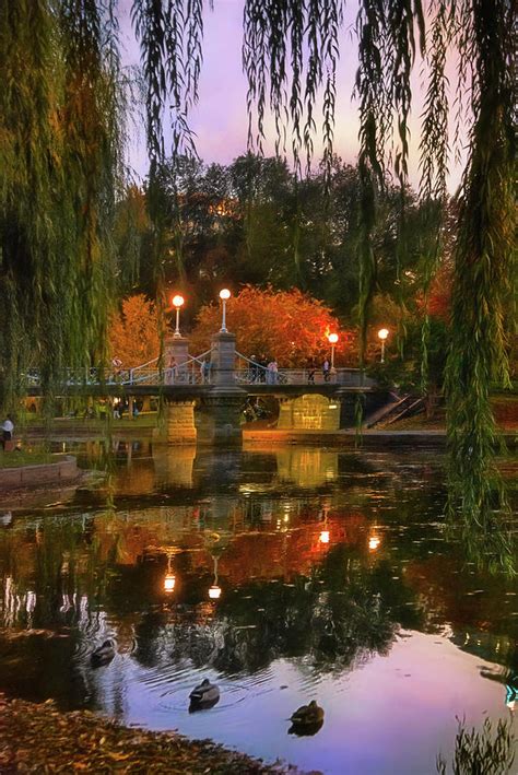 Autumn Colorsand The Lagoon Bridge Boston Public Garden Photograph By