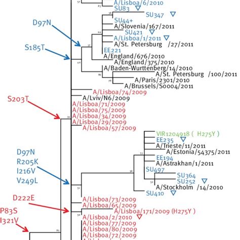 Maximum Likelihood Phylogenetic Tree Of Ha1 Nucleotide Sequences From