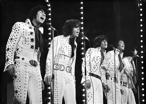 Professional Biography and Career Profile of Wayne Osmond 10