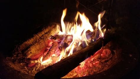 Asmr Campfire🔥 Soothing Crackling Fire Sounds Mindfulness