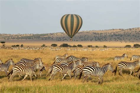 Why Ngorongoro Conservation Area Is A Must Visit Ngorongoro Crater