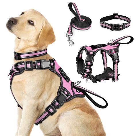 dog harness lead  collar set