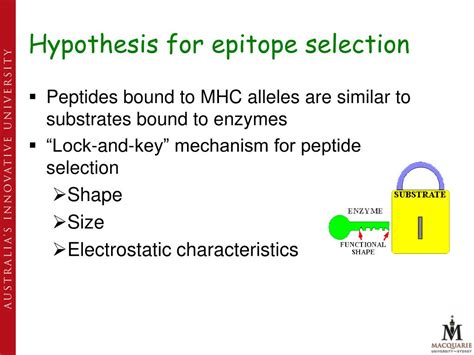 PPT Structural Modelling And Bioinformatics In Drug Discovery And