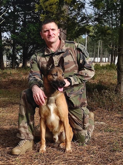 Bonjour pour être Maître chien parachutiste le passage par le camps de