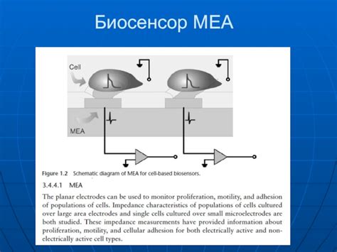 Биосенсоры