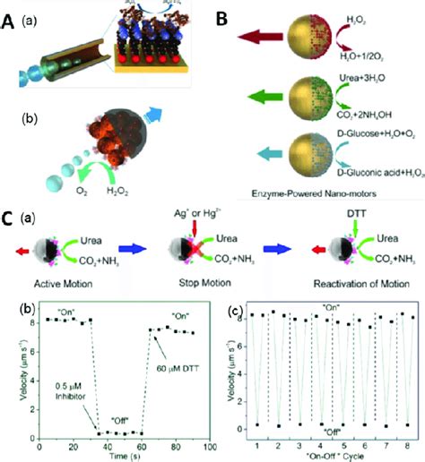 Enzyme Powered Micro And Nanomotors A Bubble Propulsion Of A