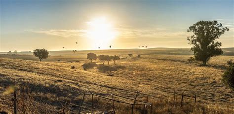 Turismo do Alentejo lança candidaturas ao programa Alentejo Ribatejo