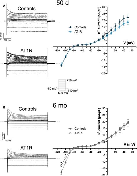 Atrial Electrical Remodeling In Mice With Cardiacspecific