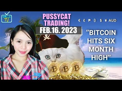 Feb Pussycat Trading Btc Hits Month Hgh Fx Crypto Gold