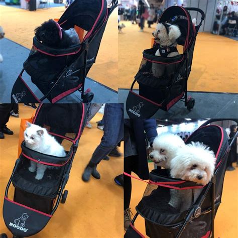 Roodo Dog Stroller 3wheel Pet Stroller Cat Stroller Lightweight