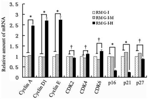 The Mrna Expression Of Cyclins Cyclin Dependent Kinases Cdks And Download Scientific Diagram