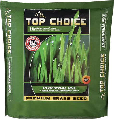 Barenbrug Usa Tvprg7 Tv 7 Lb Peren Rye Seed Patio Lawn And Garden