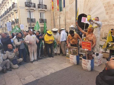 Los Apicultores Lanzan Un Sos Delante De Las Corts Valencianes