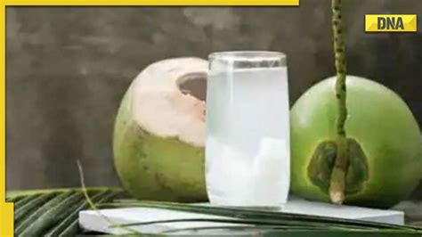 World Coconut Day Know History Significance Theme Interesting