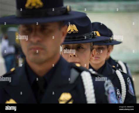 Customs Border Protection Office Field Hi Res Stock Photography And