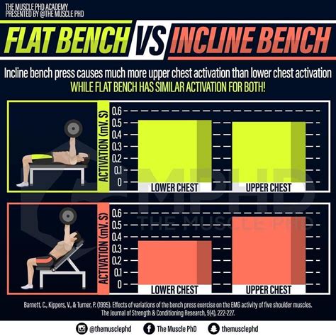 Amazing Incline Bench Press Benefits For A Stronger Upper Body