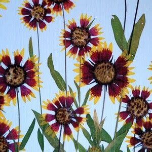 Pressed Flower Print X Double Matted Indian Blanket Wildflowers