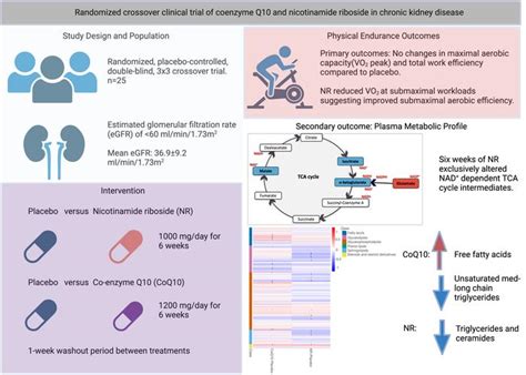 Jci Insight Randomized Crossover Clinical Trial Of Coenzyme Q10 And Nicotinamide Riboside In