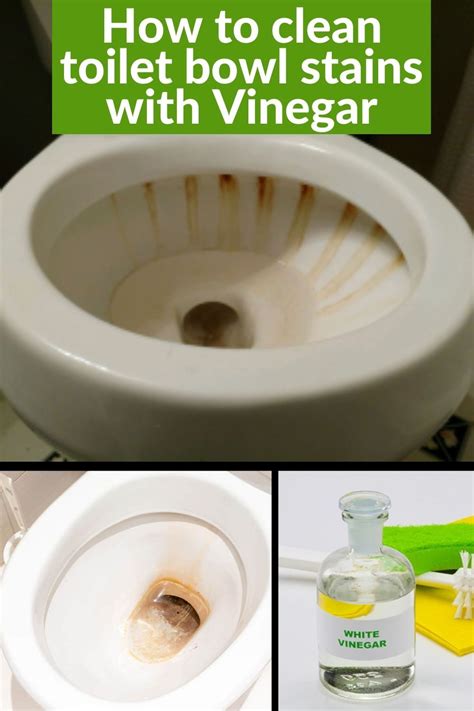 How To Clean Toilet Bowl Stains Artofit