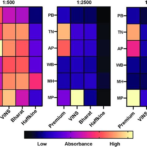 Immunological Cross Reactivity Of Commercial Indian Antivenoms Against